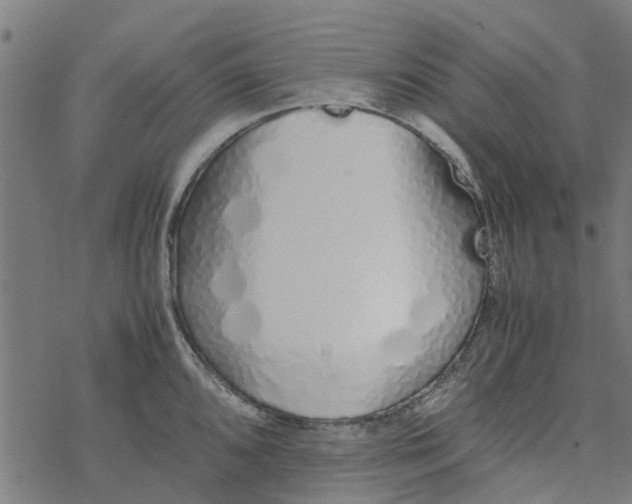 X0000077391096200611031955