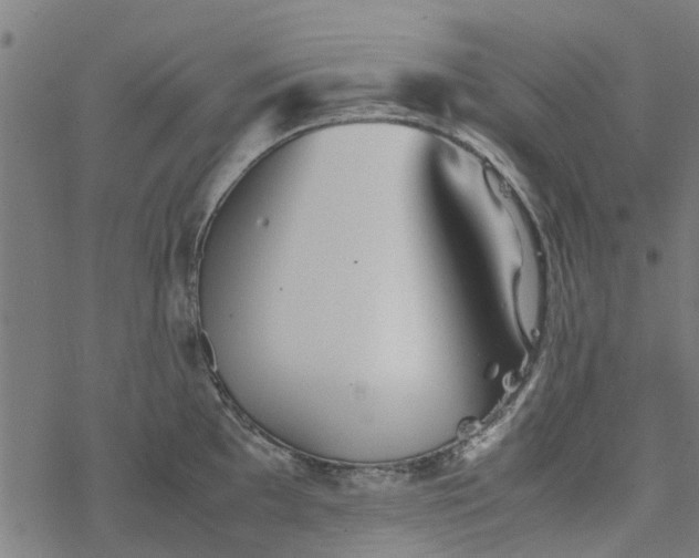 X0000077391097200611031955