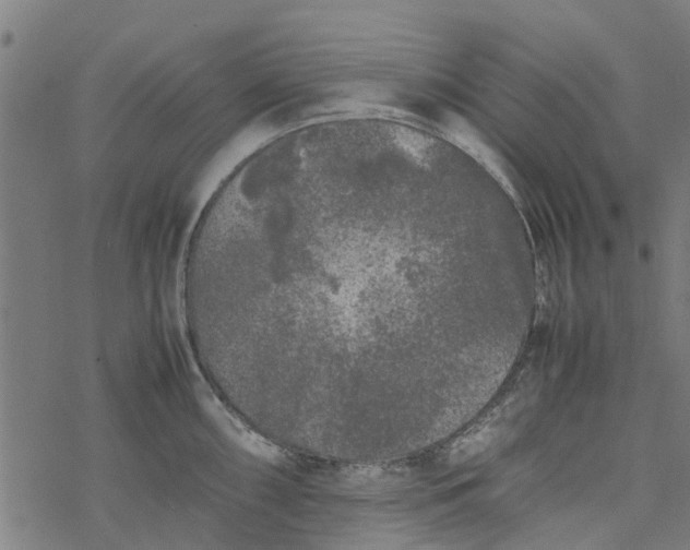 X0000077391098200611031955