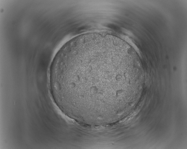 X0000077391099200611031955