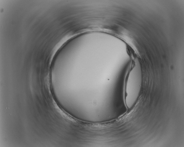 X0000077391100200611031955