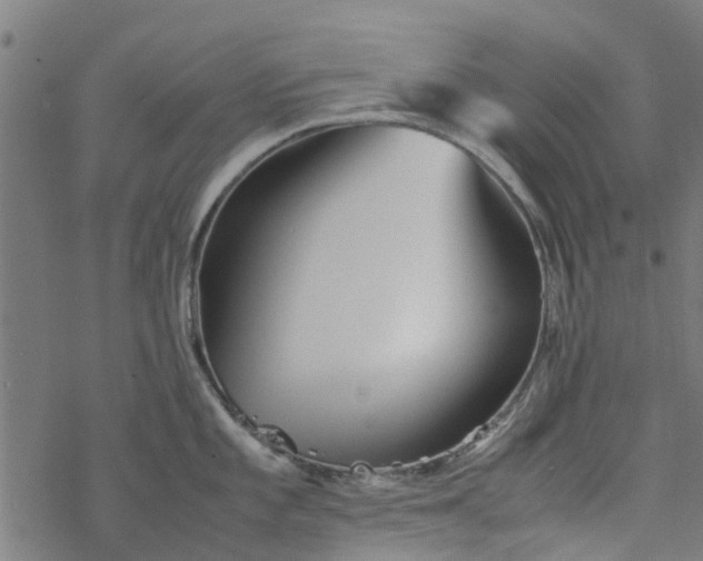 X0000077391101200611031955