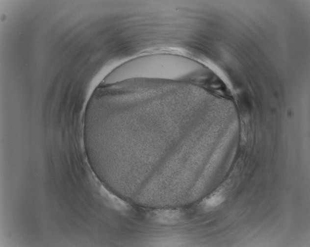 X0000077391102200611031955