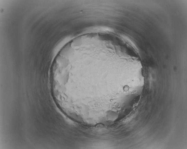 X0000077391103200611031955