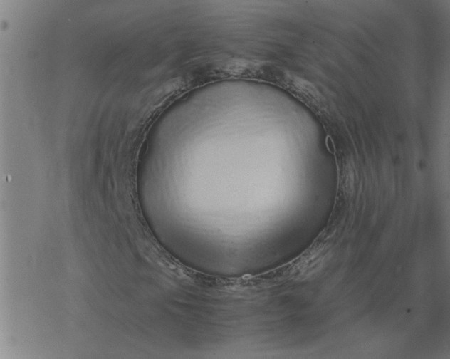 X0000077391105200611031954