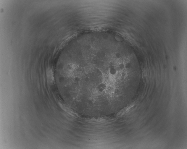 X0000077391106200611031954