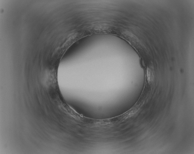 X0000077391107200611031954