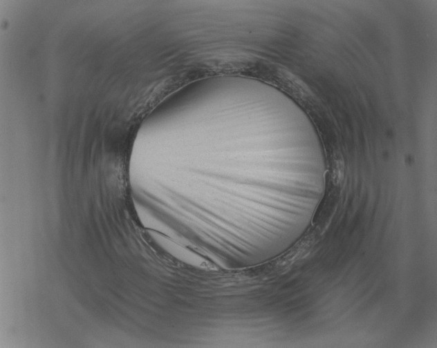 X0000077391108200611031954