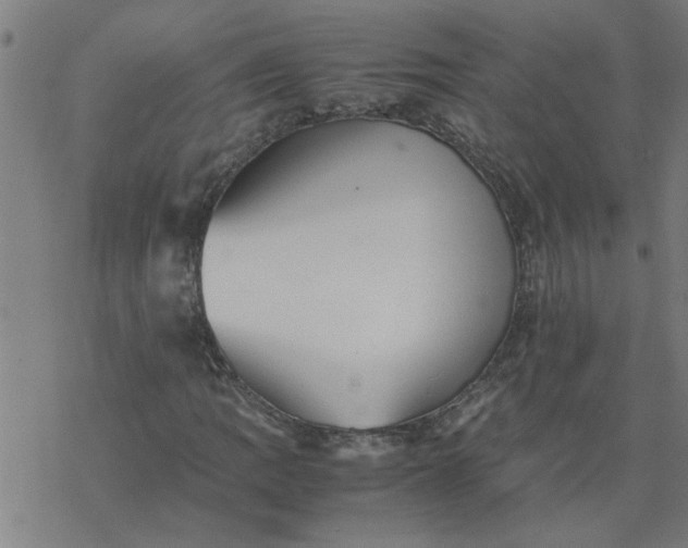 X0000077391109200611031954