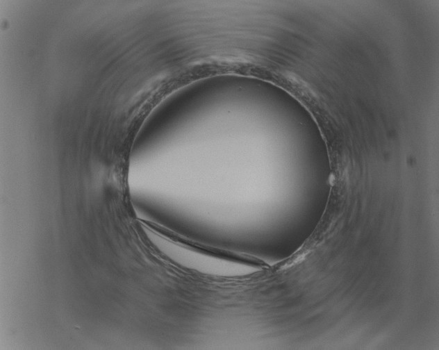 X0000077391110200611031954