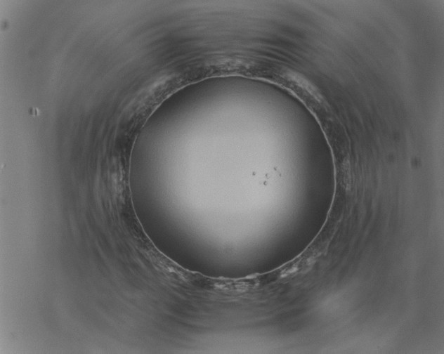 X0000077391111200611031954