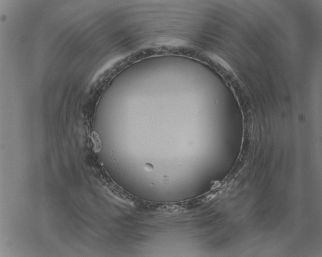 X0000077391112200611031954