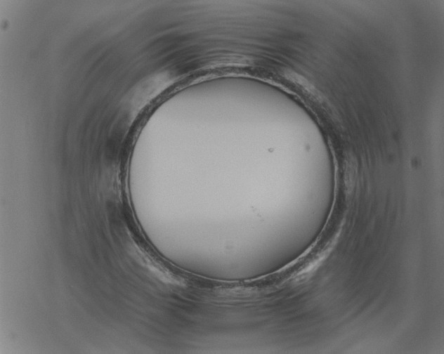 X0000077391113200611031954