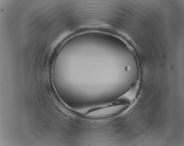 X0000077391114200611031954