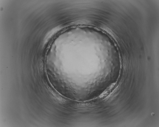 X0000077391115200611031954