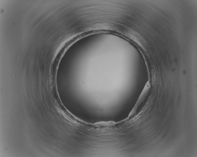 X0000077391116200611031954