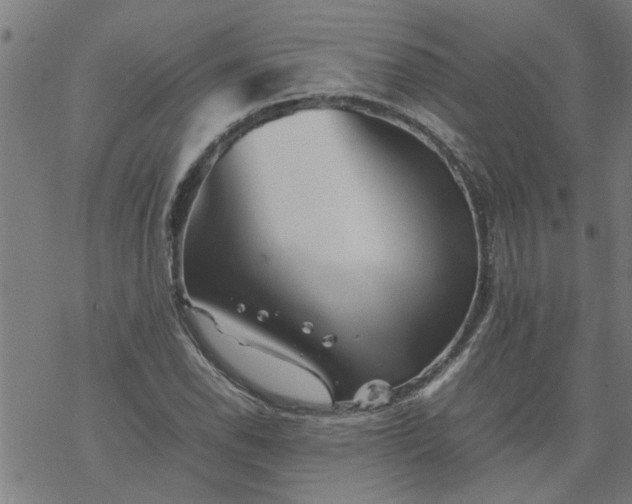 X0000077391118200611031954