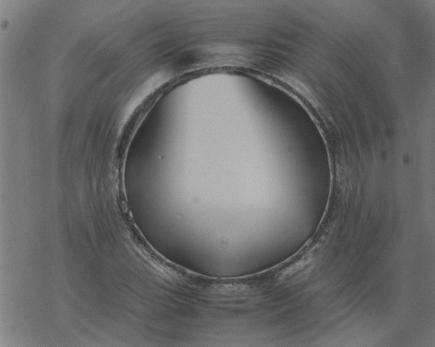 X0000077391119200611031954