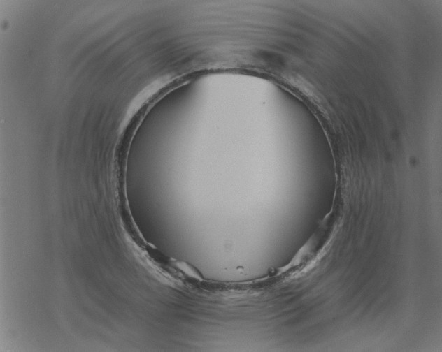 X0000077391122200611031954