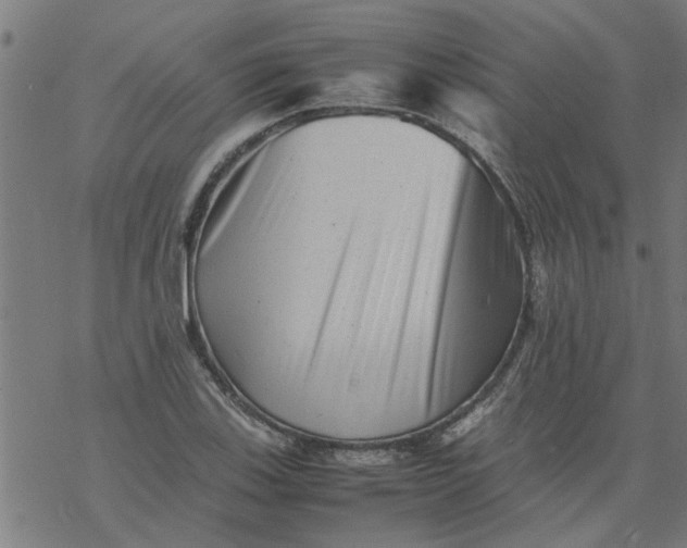 X0000077391123200611031955