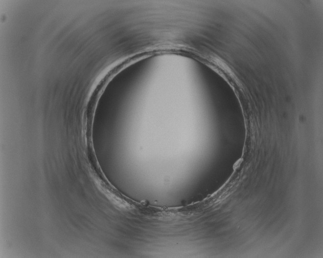 X0000077391124200611031955