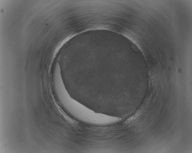 X0000077391127200611031955