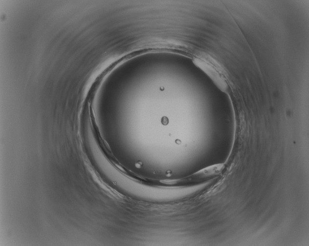 X0000077391128200611031955