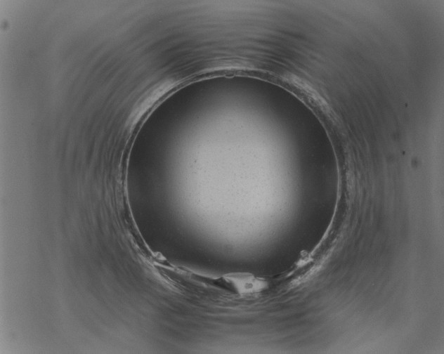 X0000077391129200611031955