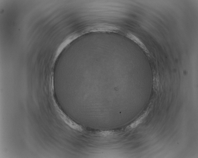 X0000077391130200611031955