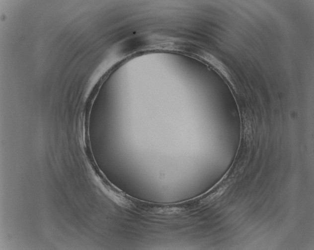 X0000077391131200611031955