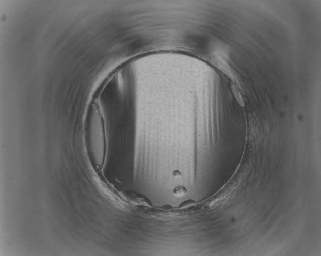 X0000077391132200611031955