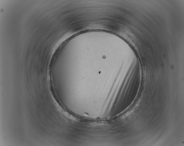 X0000077391133200611031955