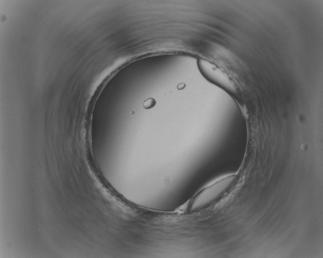 X0000077391134200611031955