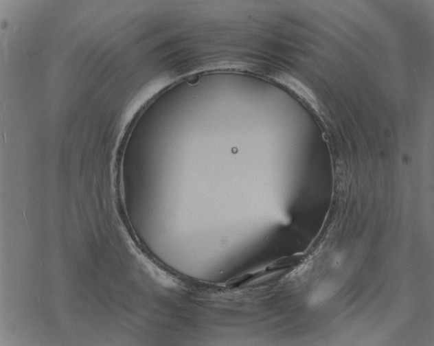 X0000077391135200611031955