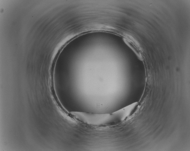 X0000077391136200611031955