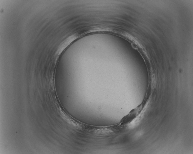 X0000077391137200611031955