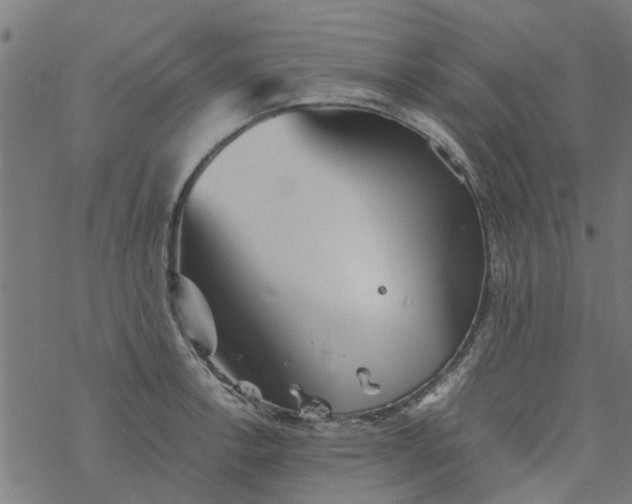 X0000077391138200611031955