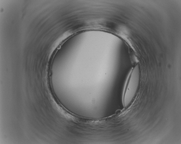 X0000077391139200611031955