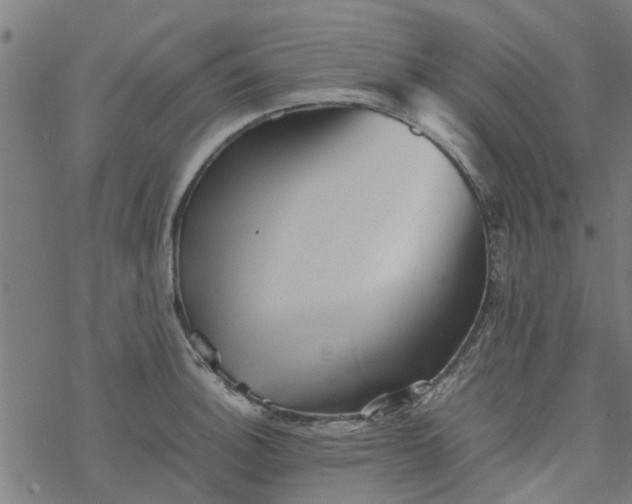 X0000077391140200611031955