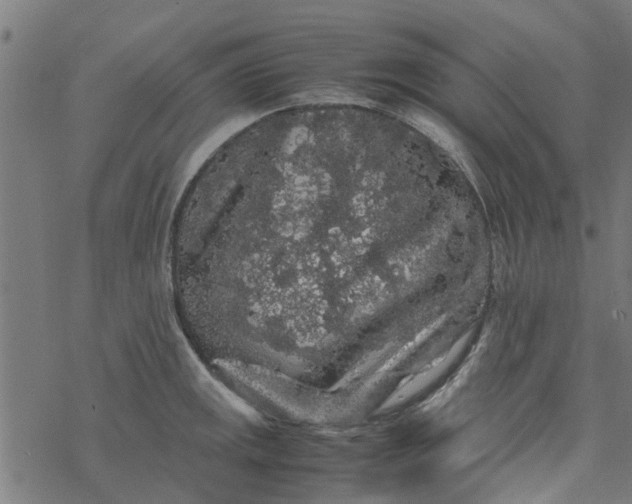 X0000077391141200611031955