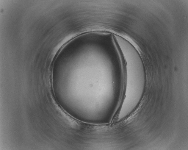 X0000077391142200611031955