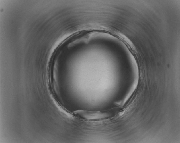 X0000077391144200611031955