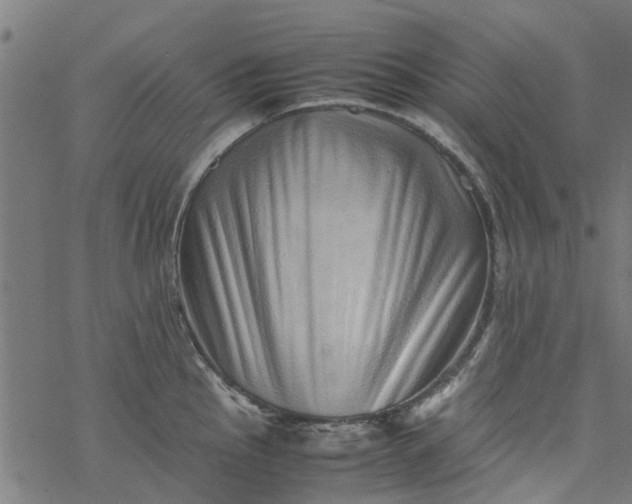 X0000077391145200611031955