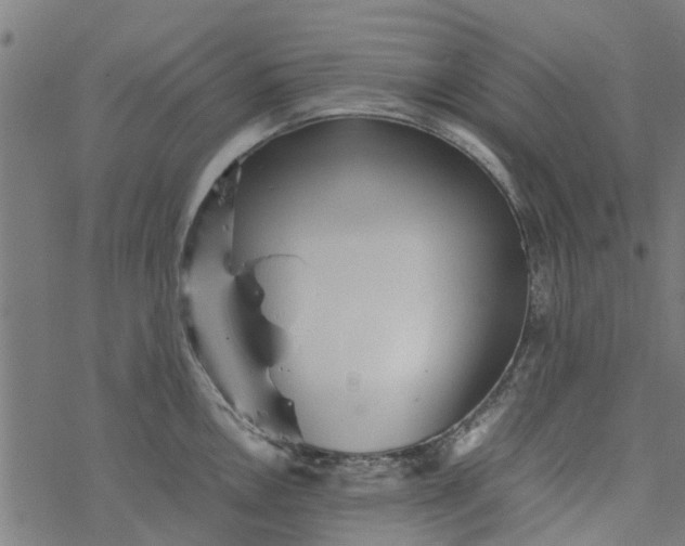 X0000077391146200611031955