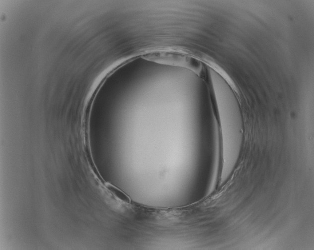 X0000077391148200611031955