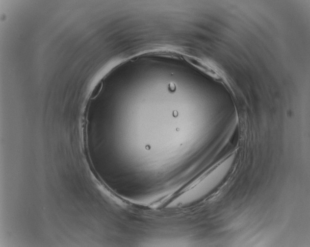 X0000077391151200611031955