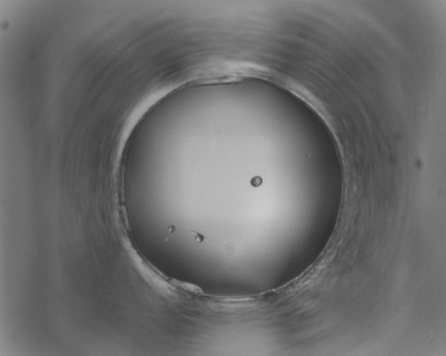 X0000077391152200611031955