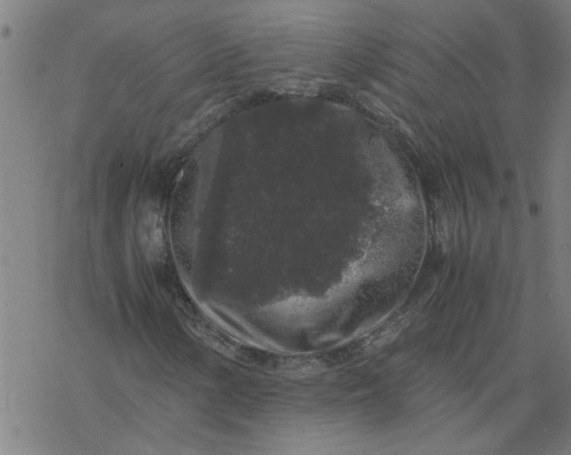 X0000077391154200611031954