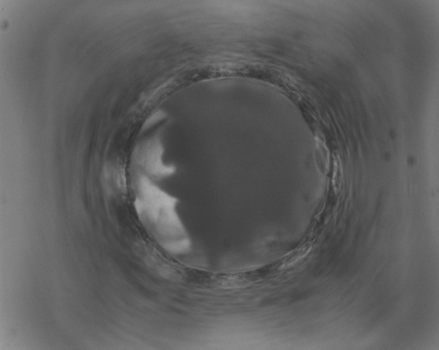 X0000077391155200611031954