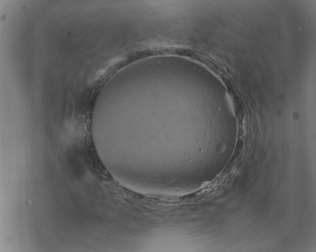 X0000077391157200611031954